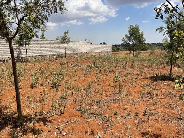 50 by 100fts Prime Residential Plot in Kikuyu, Kamangu. - thumbnail 8