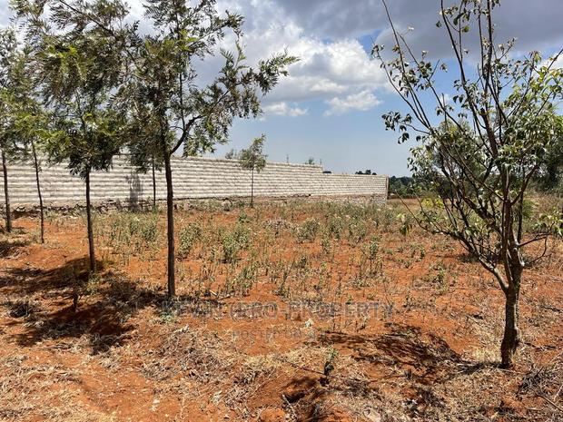 50 by 100fts Prime Residential Plot in Kikuyu, Kamangu. - thumbnail 7