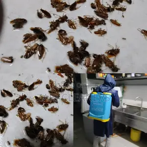 Cockroaches Removal/Treatment