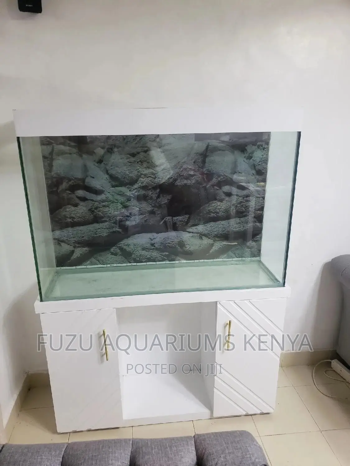 Aquarium With Rockish Background
