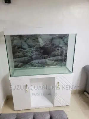 Aquarium With Rockish Background