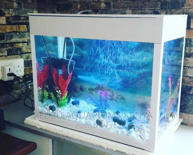 Small White Aquarium - main view