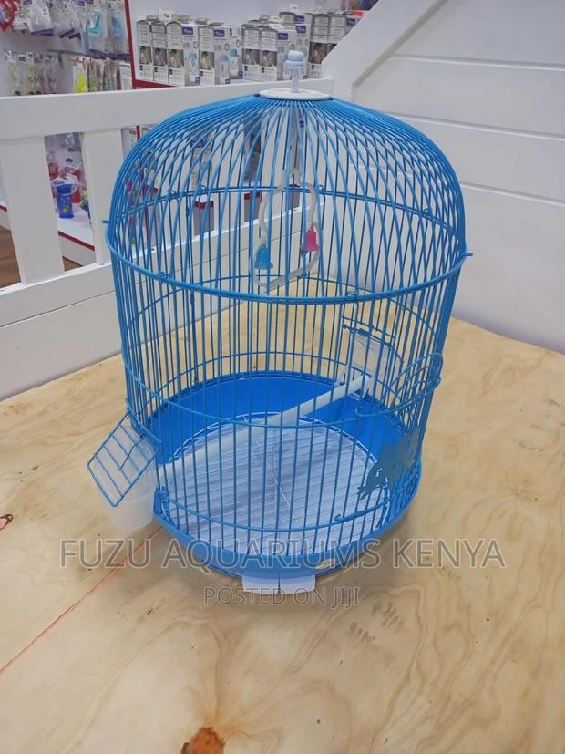 Blue Bird Cage - main view