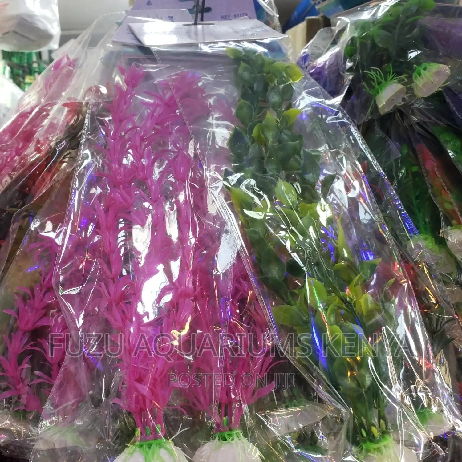 Plastic Fish Plants