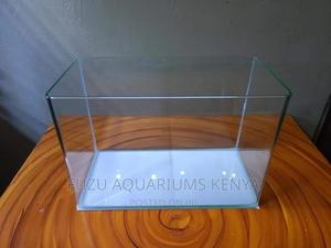 Quality Aquarium - thumbnail 2