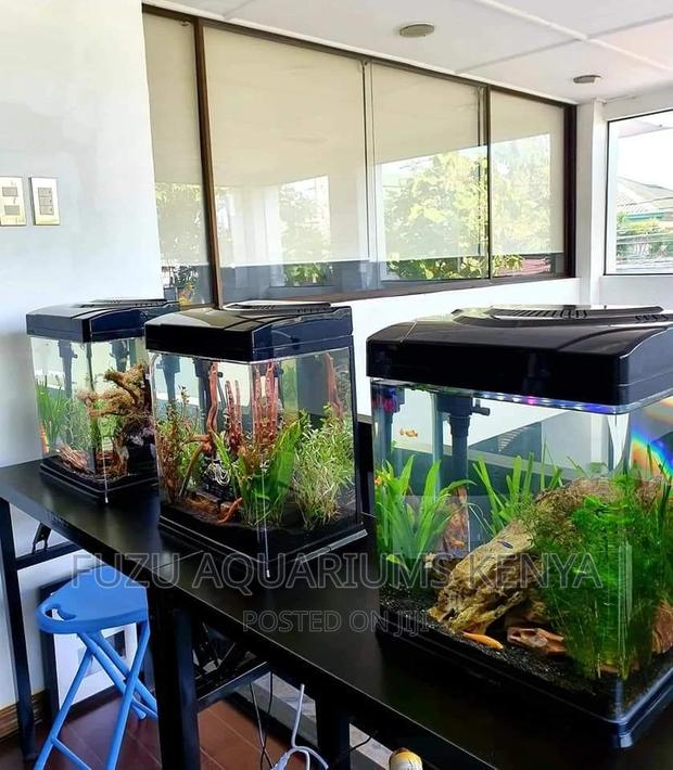 Acrylic Aquarium - main view