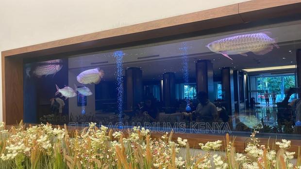 Long Aquarium Big - main view