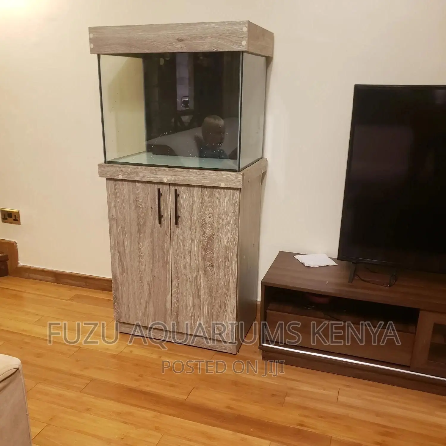 Completed Aquarium
