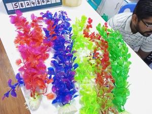 Colour Your Tank , Colourful Aquarium Plants - thumbnail 2