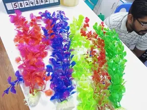 Colour Your Tank , Colourful Aquarium Plants