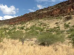 Kwenia Eco-Lodge Site