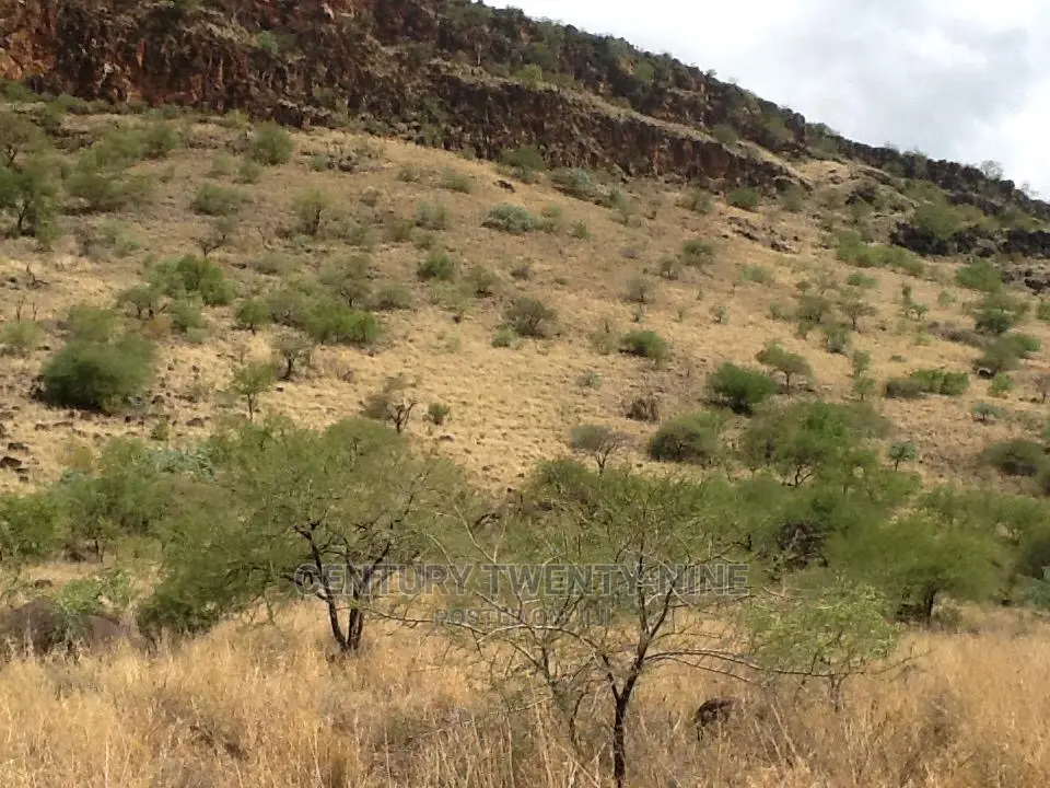 Kwenia Eco-Lodge Site