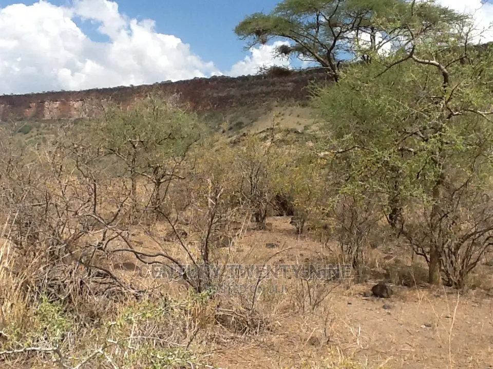 Kwenia Eco-Lodge Site