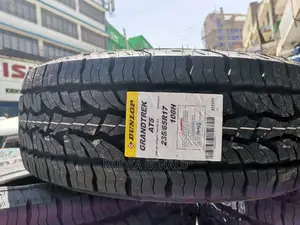 235/65r17 Dunlop Tyre (A/T