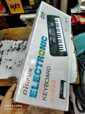 Bigfun Electronic Keyboard