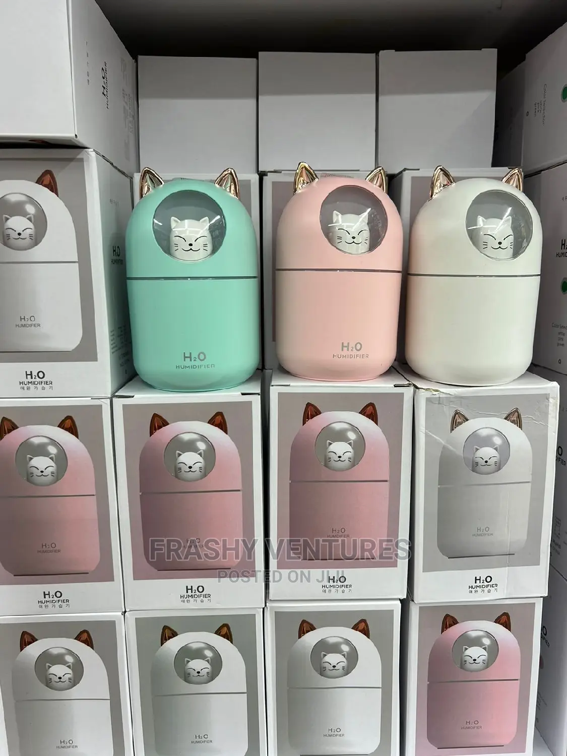 300ml Portable Humidifier