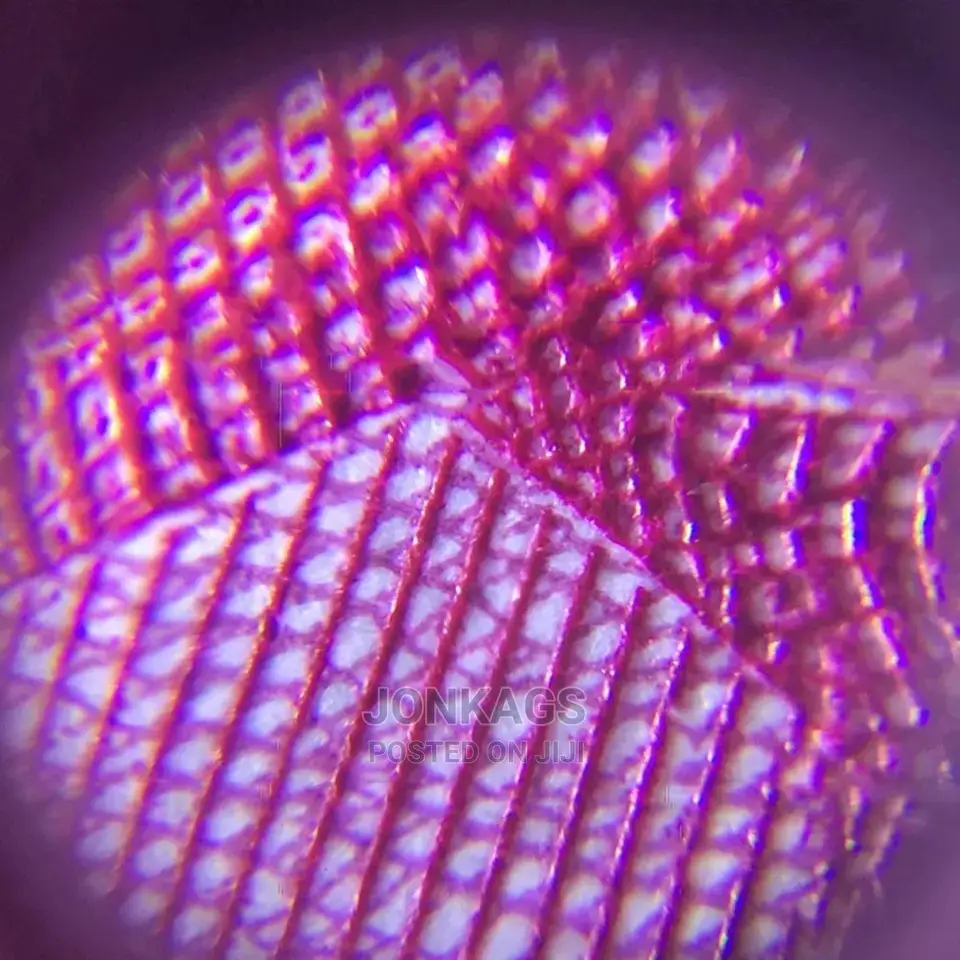×60 Magnifying Glass