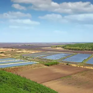 Ornamental Fish Farming Consultant Fish Pond Construction