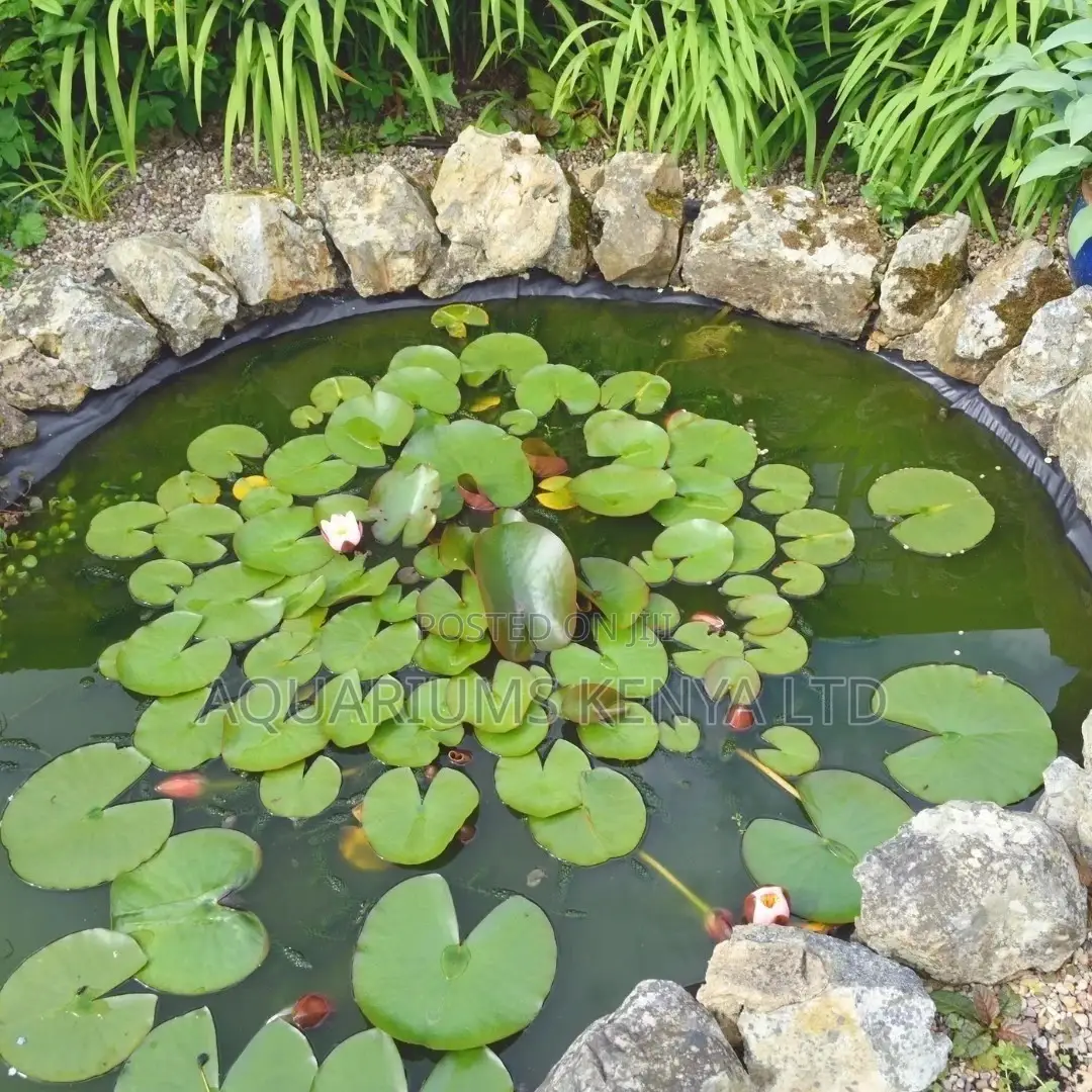 Fish Pond Construction And Beautification
