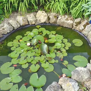 Fish Pond Construction And Beautification