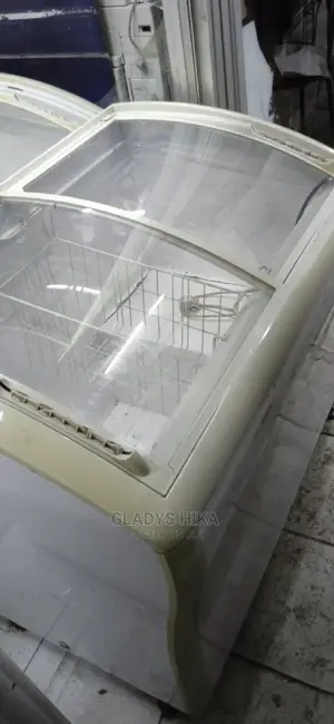 Display Freezer