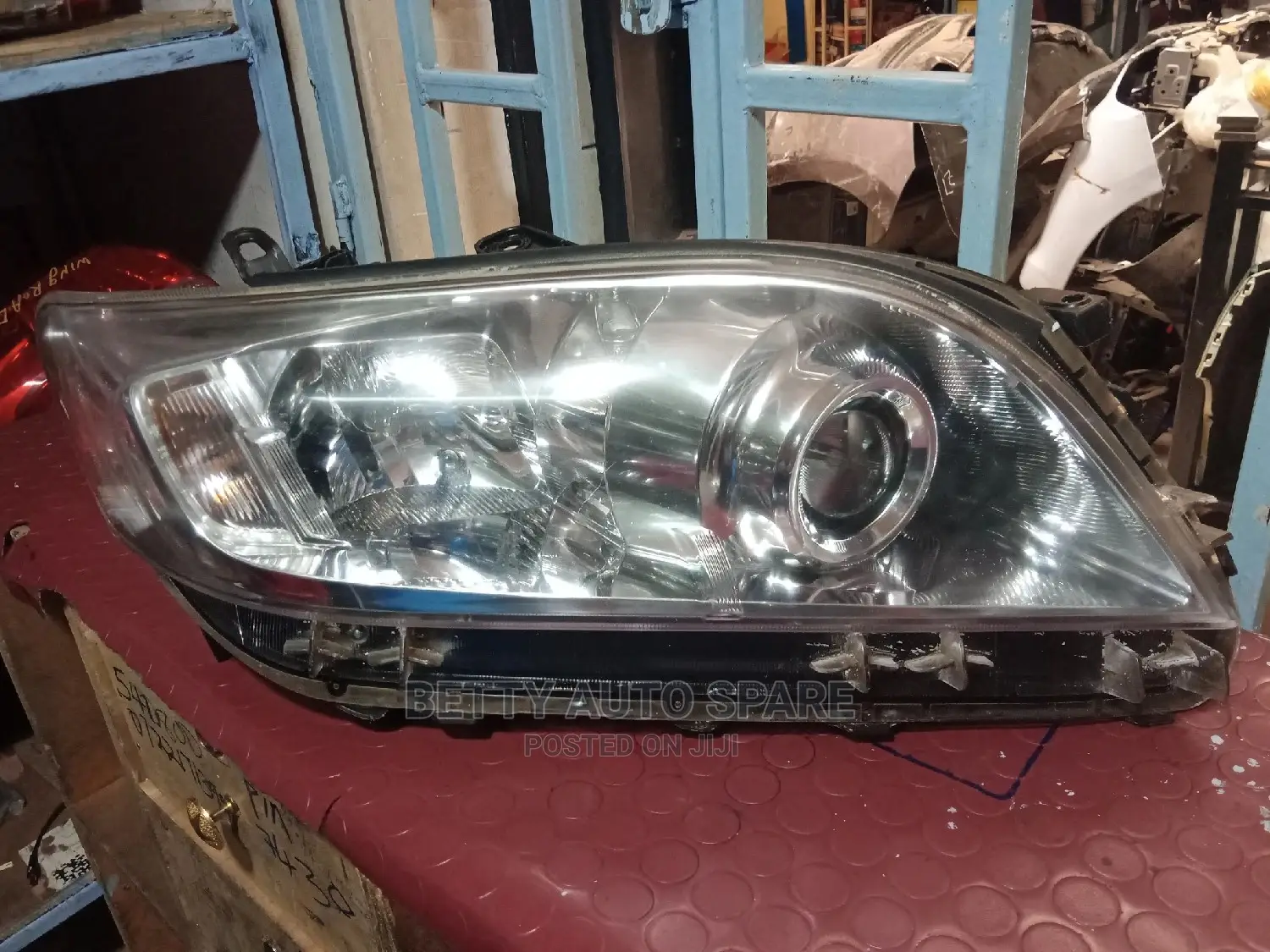 Vanguard Headlight Xenon