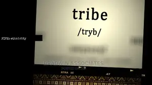 Marketing Videos/Adverts - Short and Engaging