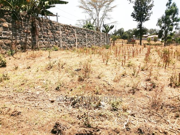 50*100 Plot for Sale in Kiamunyi - thumbnail 3