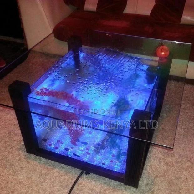 Coffee Table Aquarium - main view