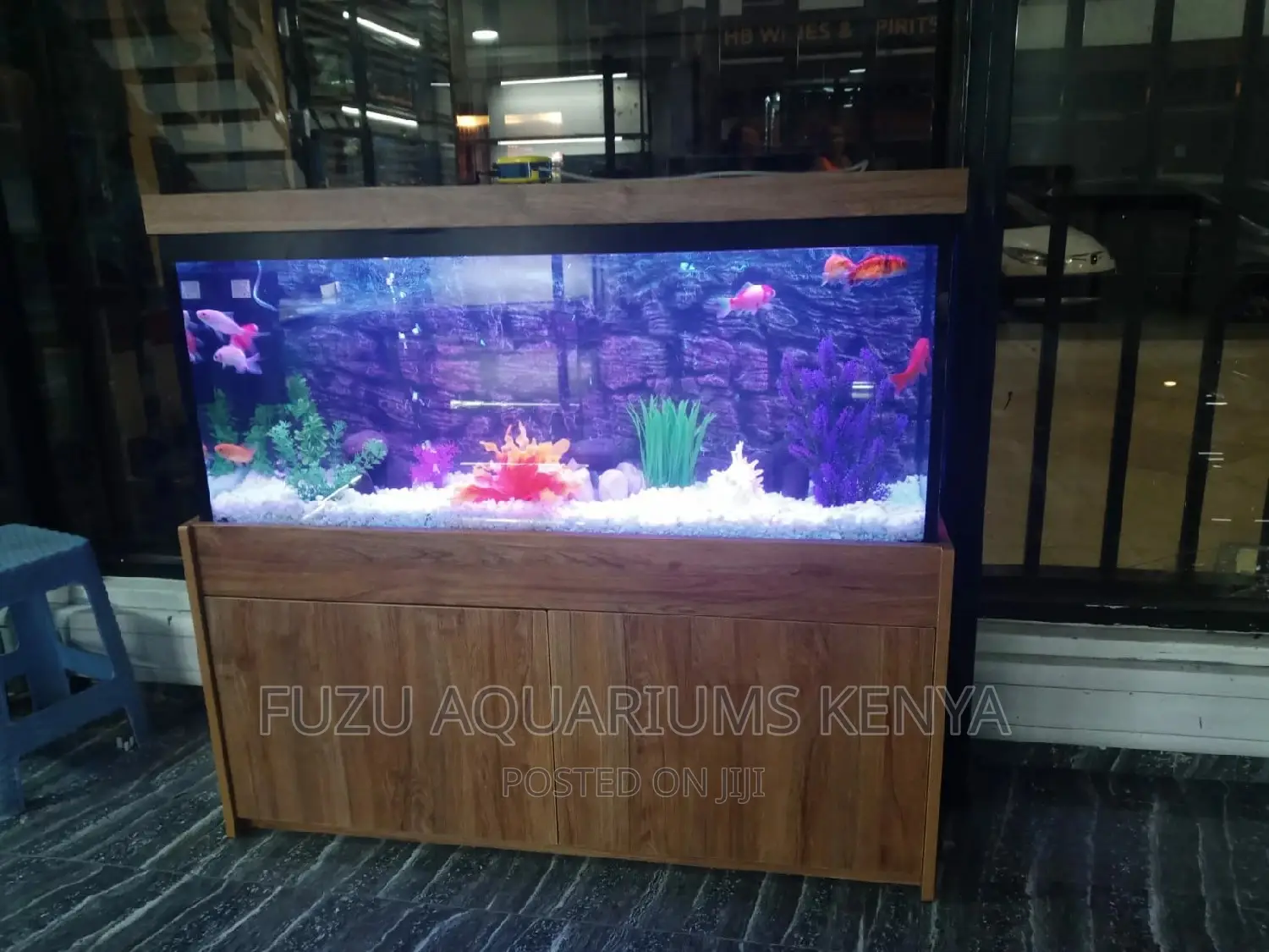 4ft Aquarium