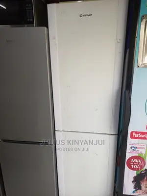 Bottom Freezer Refrigerator