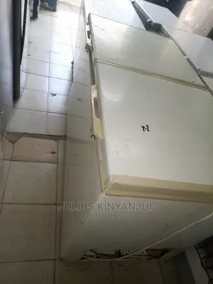 Deep Freezer 550l