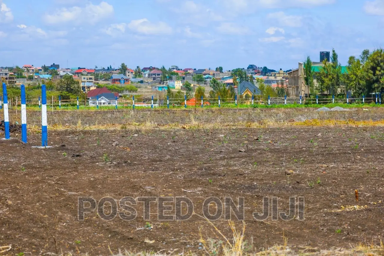 Strategic Prime Plots in Kamulu^Jm