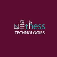 Netiness Technologies logo