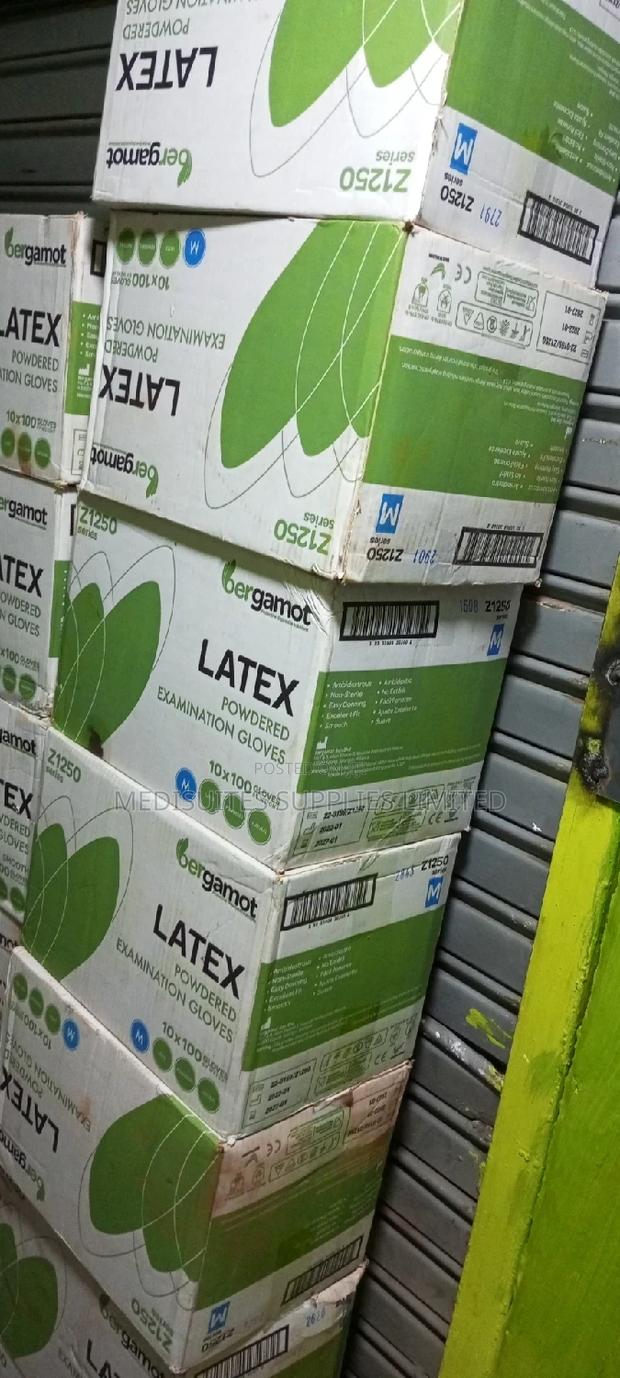 Bergamot Examination Gloves - main view