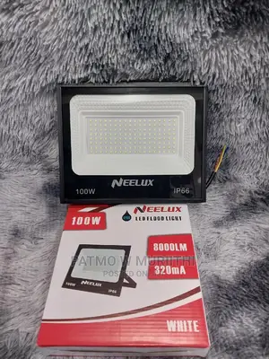Neelux 100w Flood Light Ac