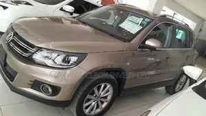 Volkswagen Tiguan 2015 Beige