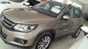 Volkswagen Tiguan 2015 Beige
