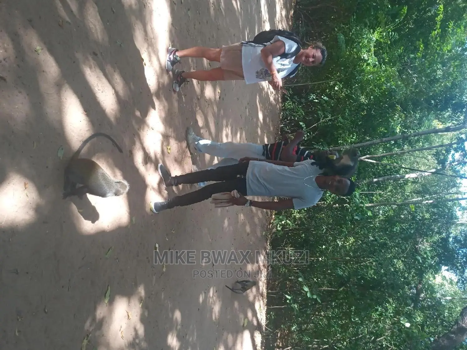 Excursions | Tours Safaris | Taxi Transfer Services