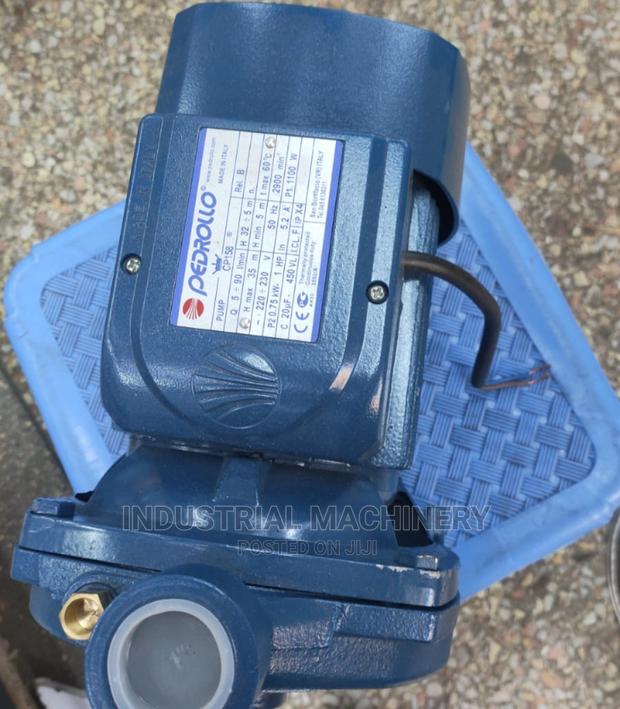 Perollo Pump 1hp