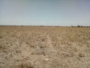 5 Acres of Land for Sale in Kisaju