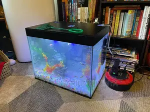 Homely Aquarium
