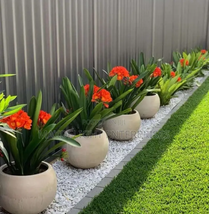 Landscaping