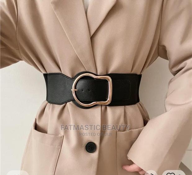 Waist Belt - main view