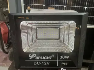 30watts DP Light