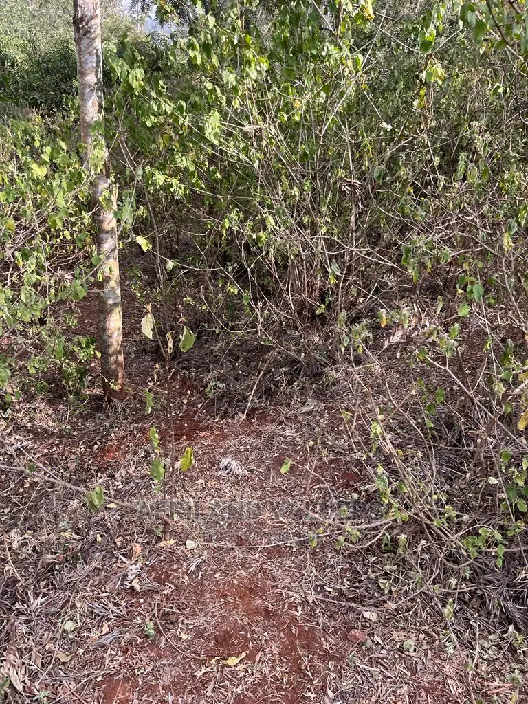 1/4 Acre Plot for Sale in Kerarapon Ngong