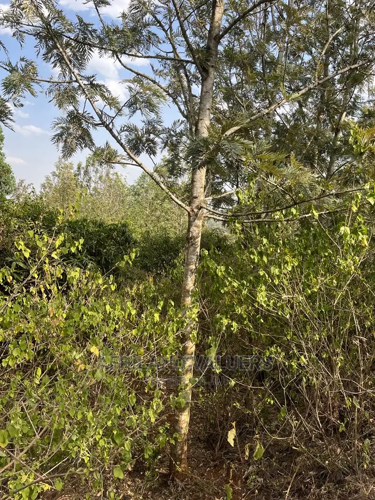 1/4 Acre Plot for Sale in Kerarapon Ngong