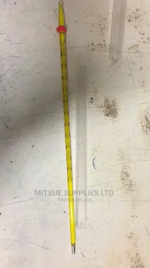 A Pair Of Mercury Thermometer