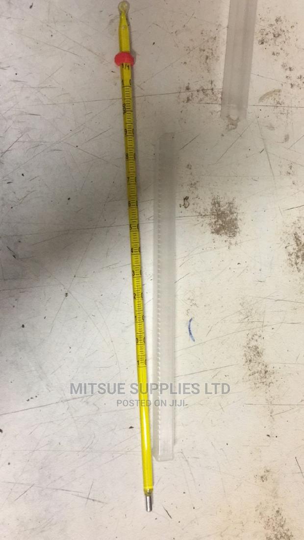 A Pair Of Mercury Thermometer - thumbnail 2