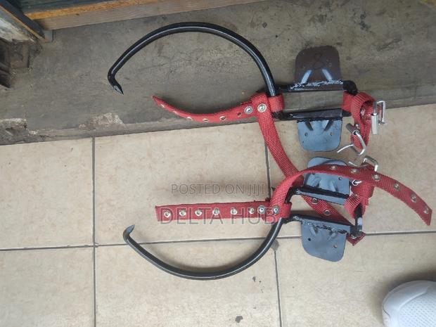 Wooden Pole Climbing Shoe - main view